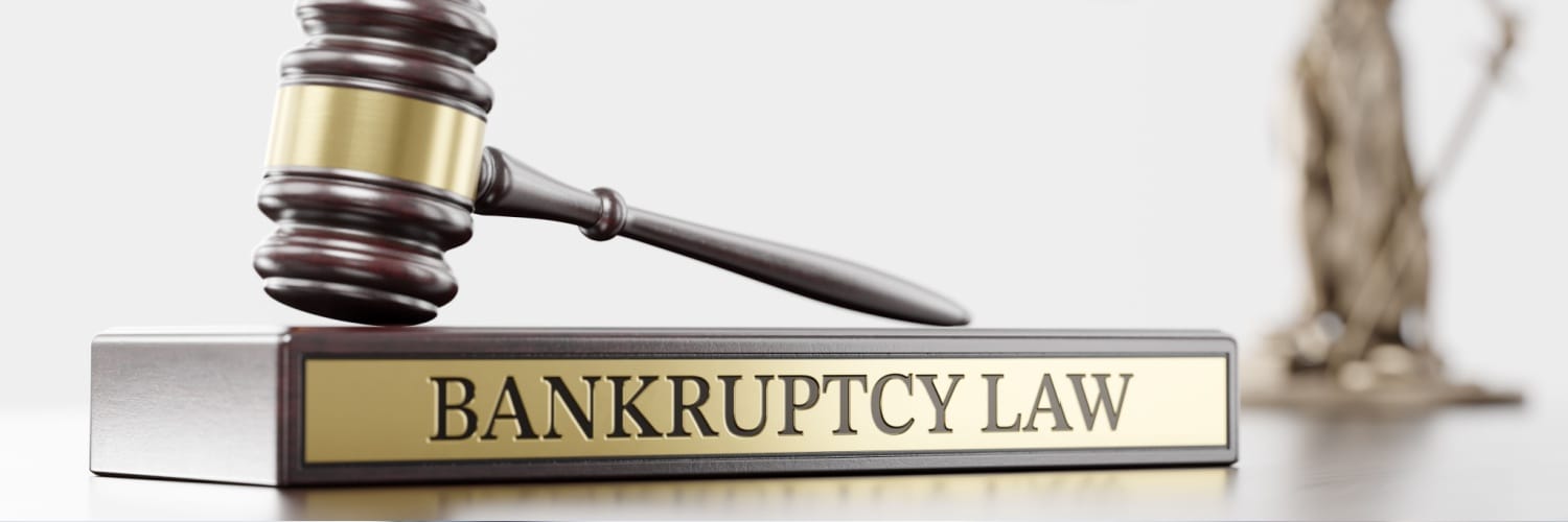 South Elgin Bankruptcy Lawyer 1 South Elgin Bankruptcy Lawyer